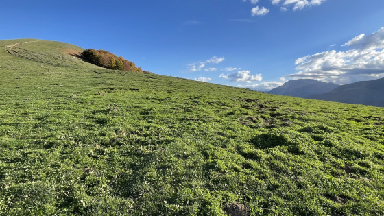 Vue du sommet de Bauregard