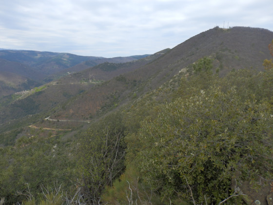 Vue du sommet