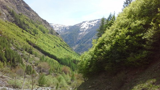 Vue du torrent