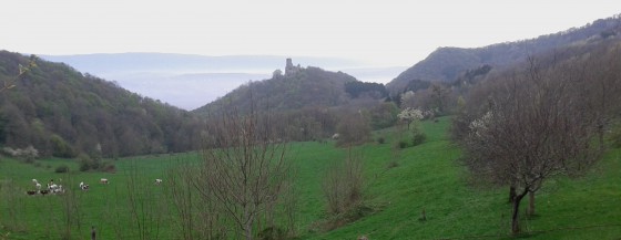 Vue du vallon et du château
