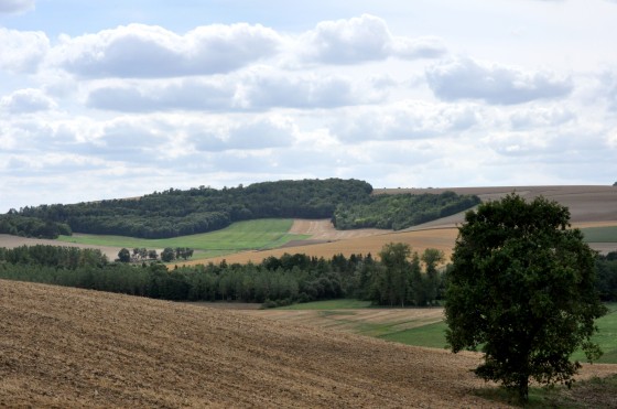 Versant ouest de la vallée
