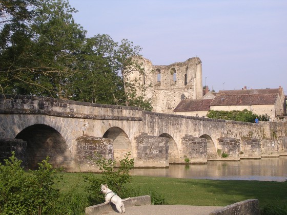 Vue du vieux ponts