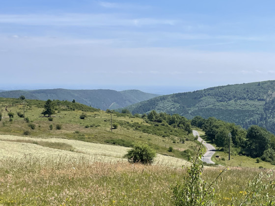 Falkenstein, Hohbuhl, Col de la Franzur from Grendelbruch - Walk
