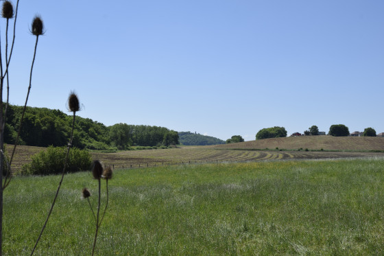 Vue éloignée sur la tour de la Miotte