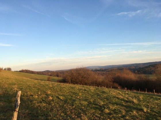 Panorama
