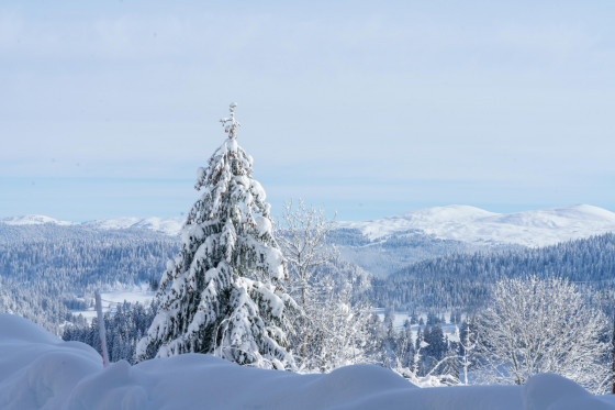 Vue en direction du Reculet, et de la Dôle