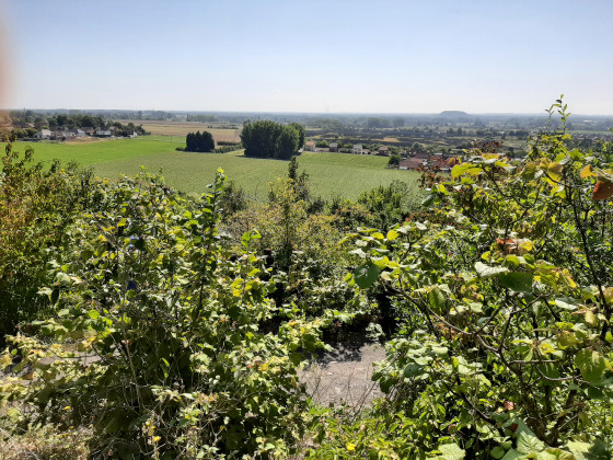 Vue en haut du terril