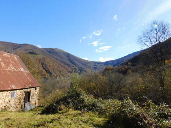 Vue en montant vers l'&eacute;tang