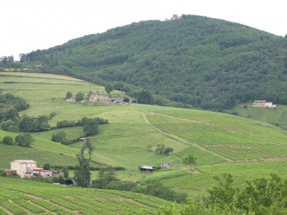 vue en  redescendant sur la route des grandes terres