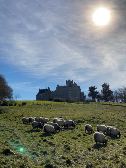 Vue ensoleillée sur le Château d'Abbadia