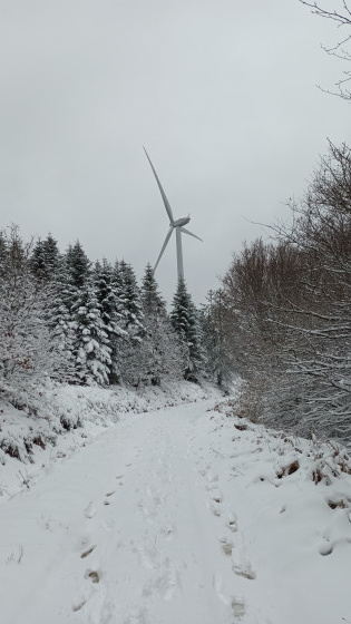 Vue éolienne hiver