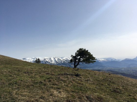 Vue est - dernière montée