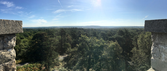 Panorama depuis la Tour Denecourt