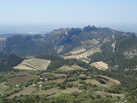 Vue globale des Dentelles de Montmirail