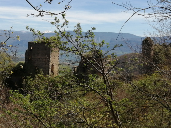 Vue globale des ruines de derri&egrave;re