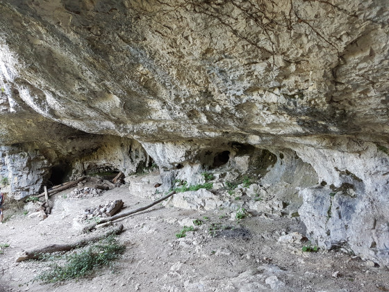 Vue globale des voutes