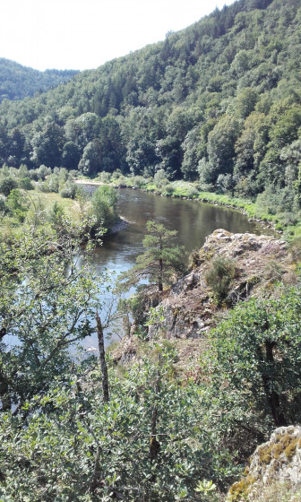 Vue depuis la 2e passerelle du Saut du Chien