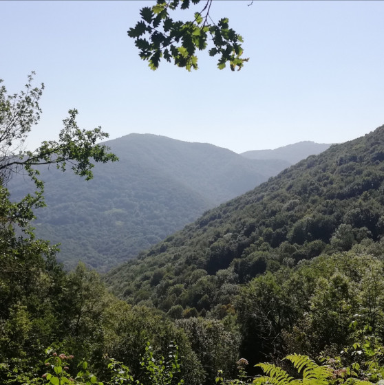 Vue intermédiaire sur le chemin de retour de la boucle du Mont Aragnoué