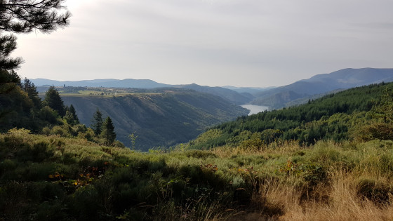Lac de Villefort