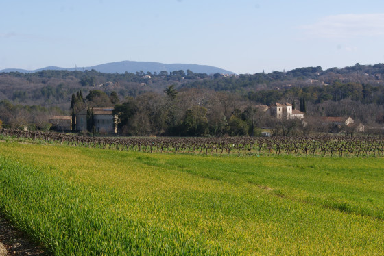 Vue le mont Bouquet