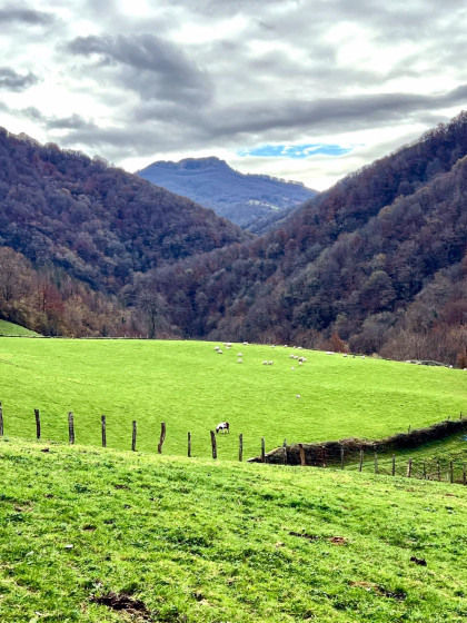 Vue lointaine sur le Legate