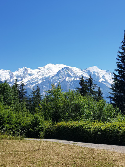 vue mont blanc