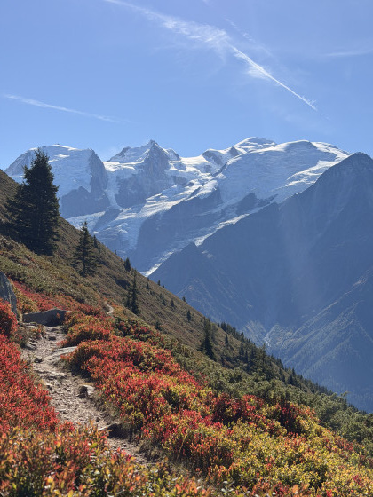Vue mont blanc