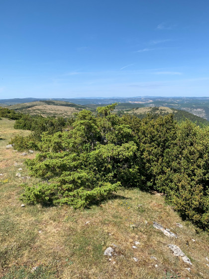 Vue ouest du sommet du Puech d'Alluech 1156m