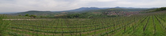 Vue panoramique