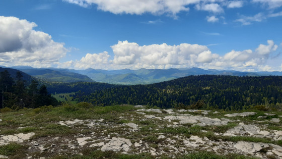 vue panoramique à 360°