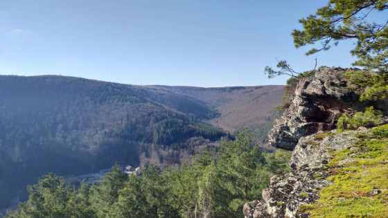 Vue panoramique du Rappenfelsen