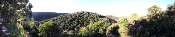 Vue Panoramique en haut des escaliers