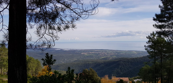 Vue panoramique sur la plaine