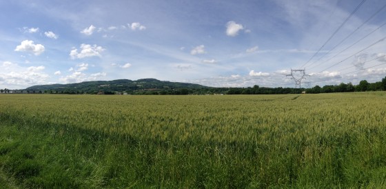 Vue panoramique sur les Monts d'Or