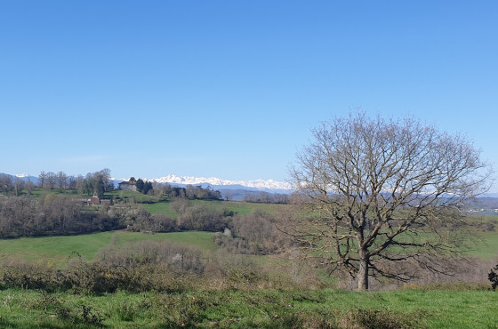 Vue panoramique sur les Pyrénées