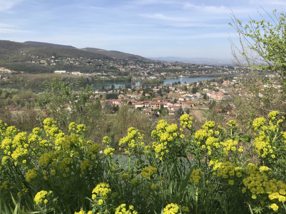 Vue panoramique