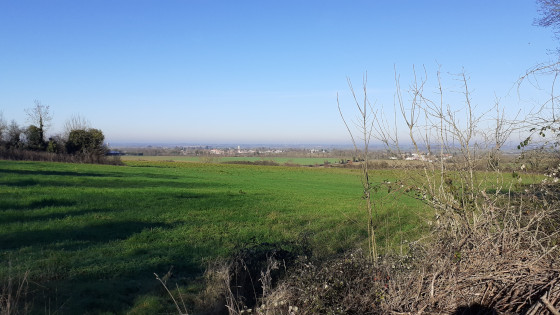 Vue panoramique