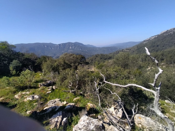 Vue panoramique
