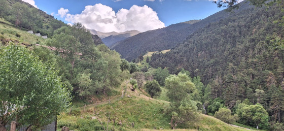 Vue panoramique