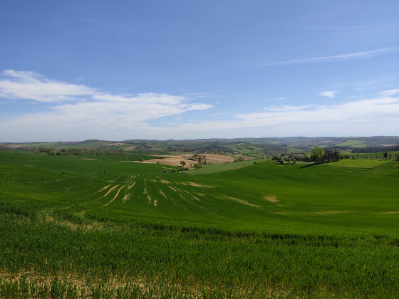 Vue panoramique