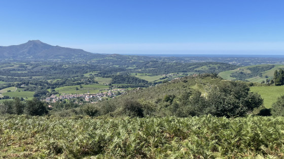 Vue panoramique