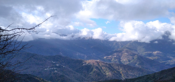 vue panoramique