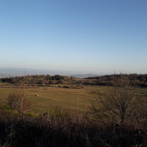 Vue panoramique sur le relief volcanique