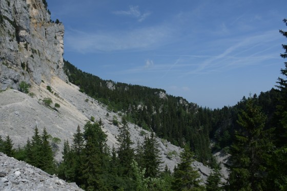 Vue partielle du vallon des Forges