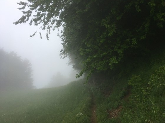 Vue... pas trop d&eacute;gag&eacute;e !