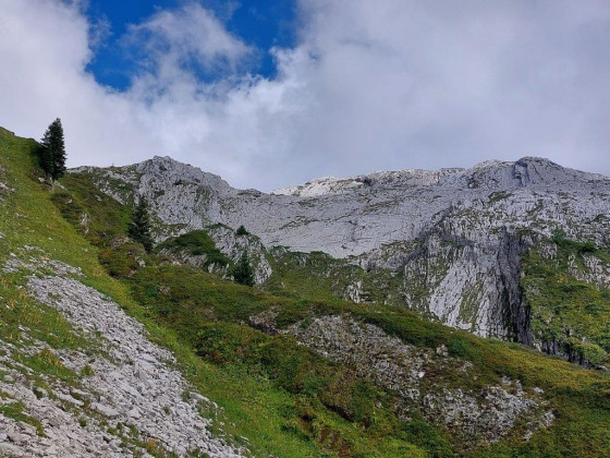 Vue peu avant la zone de lapiaz