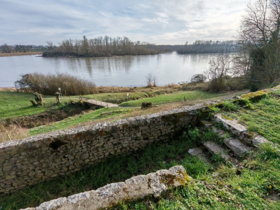 Vue plongeante du Rollin se jetant dans la Loire.