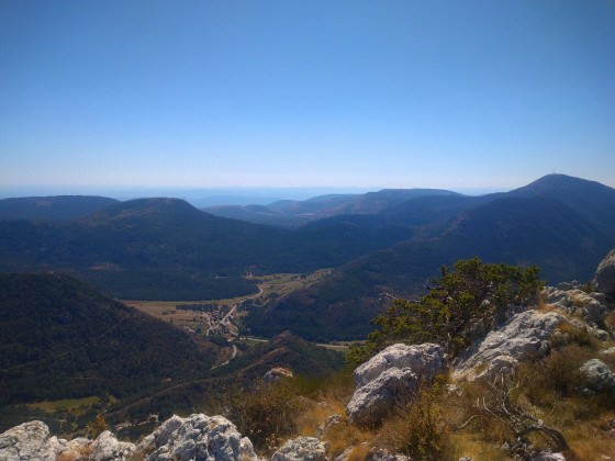 Vue sommet
