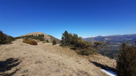 Vue Sud de Serre D&eacute;l&eacute;gu&eacute;