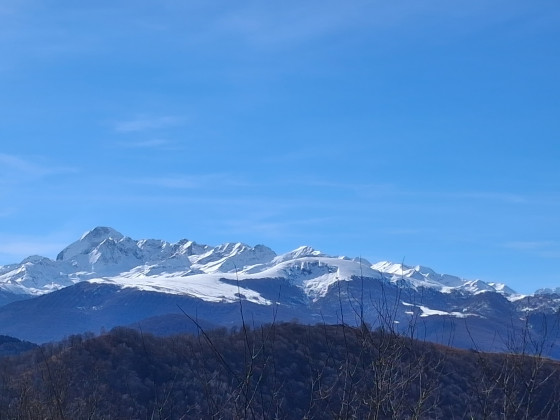 Vue sud depuis la t&ecirc;te de l'&acirc;ne